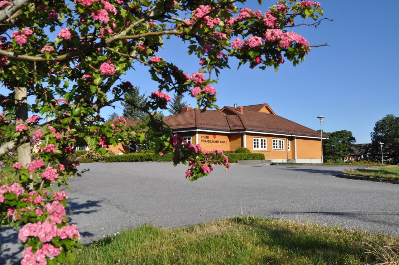 Skulebygget i sollys med blomstrande tre