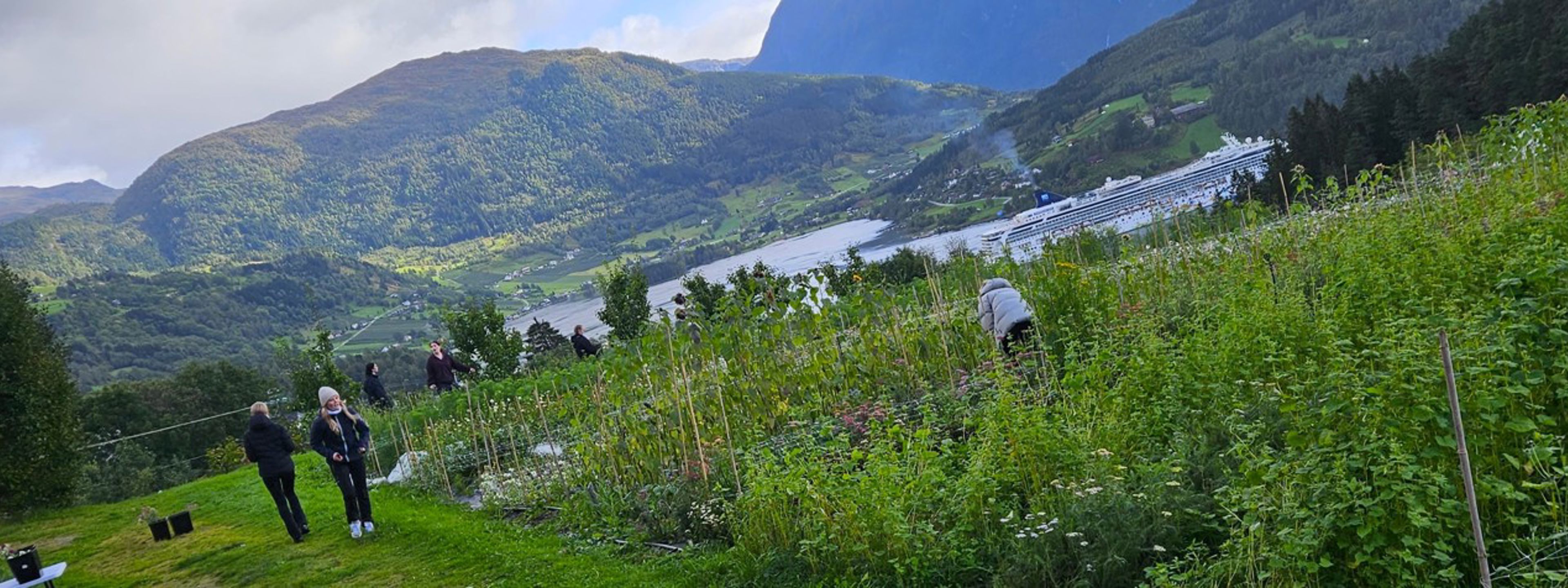 Nokre elevar som plukker blomar på ein gård, i bakgrunnen ser me ein fjord med høge fjell. I fjorden går det eit Cruice-skip