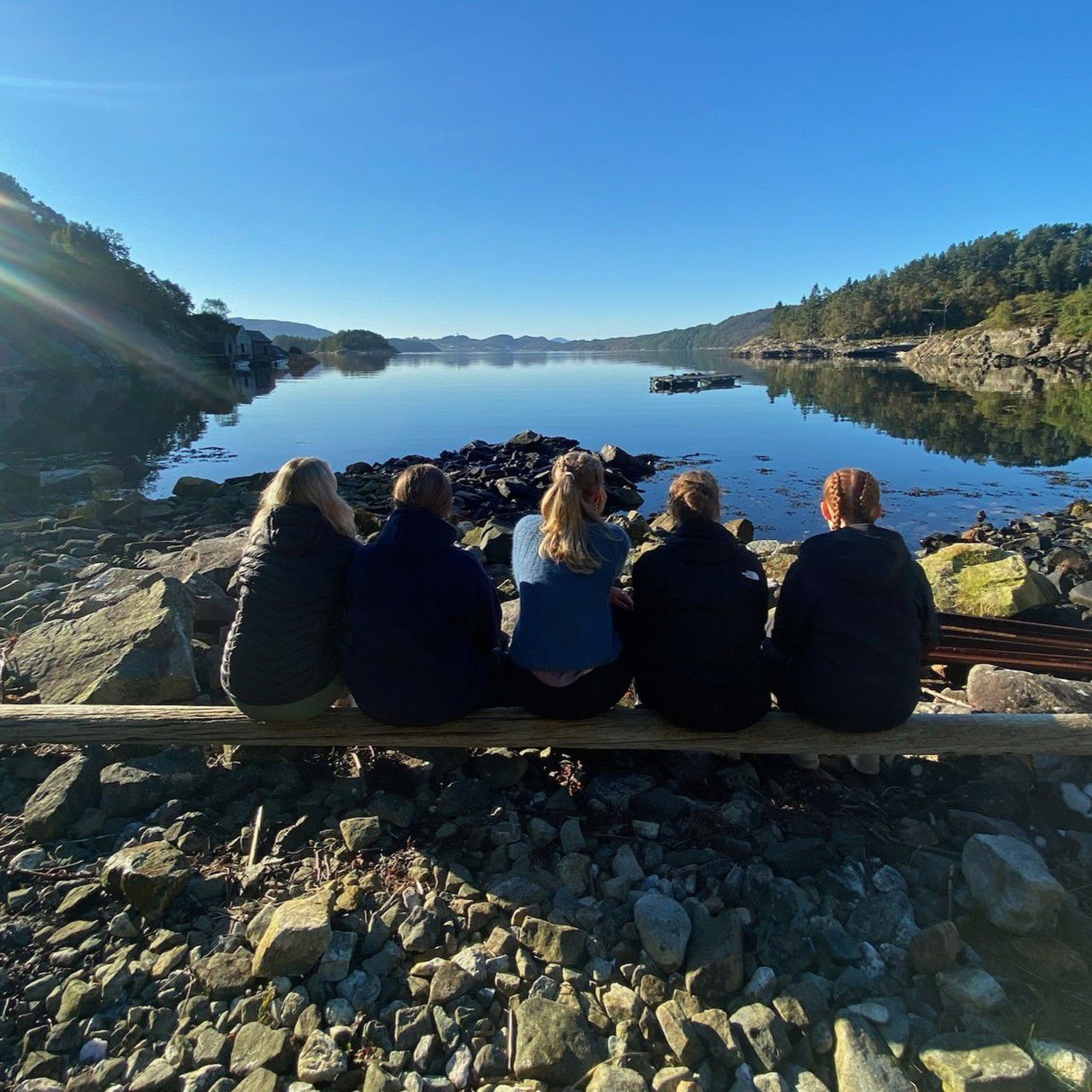 Fem elevar som sit med ryggen mot kamera og speider utover ein fjord, sol og blå himmel